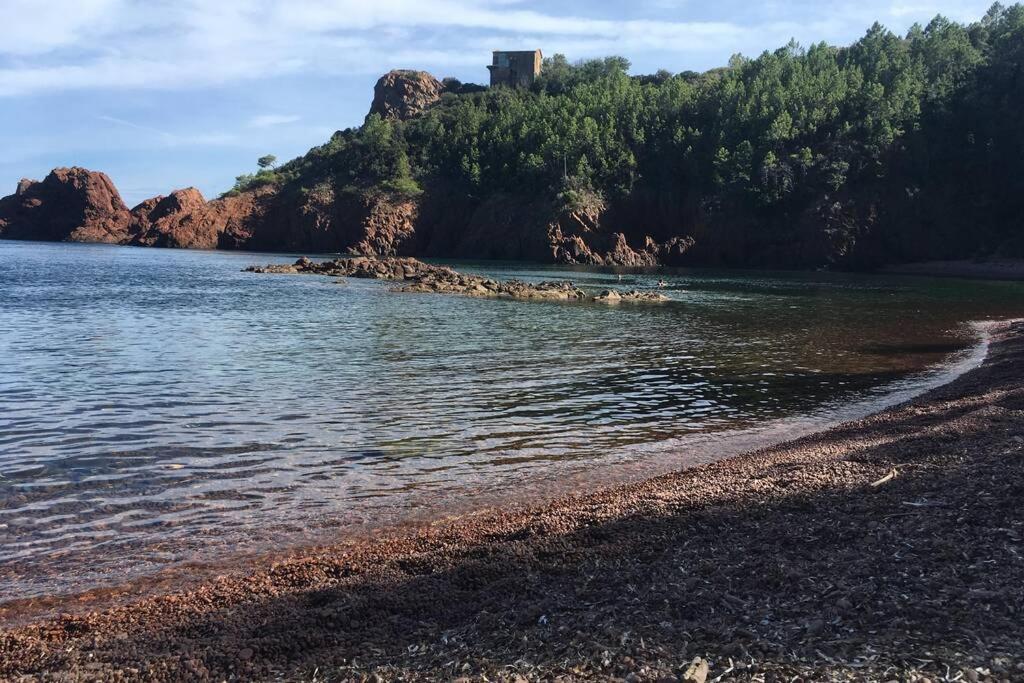 "Les Alizes" Cote Piscine Proche Bord De Mer Saint-Raphaël المظهر الخارجي الصورة