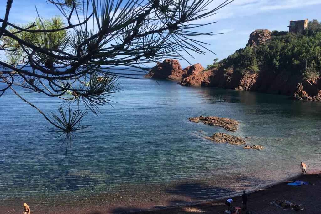 "Les Alizes" Cote Piscine Proche Bord De Mer Saint-Raphaël المظهر الخارجي الصورة