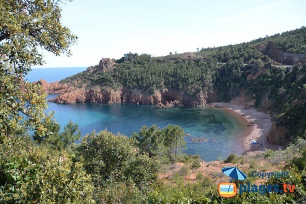 "Les Alizes" Cote Piscine Proche Bord De Mer Saint-Raphaël المظهر الخارجي الصورة