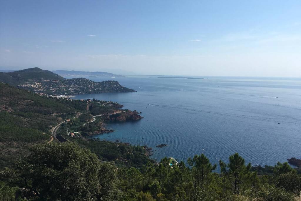 "Les Alizes" Cote Piscine Proche Bord De Mer Saint-Raphaël المظهر الخارجي الصورة